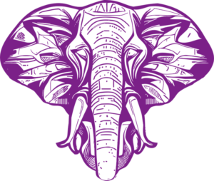 vector elefante fondo blanco pequeño 2