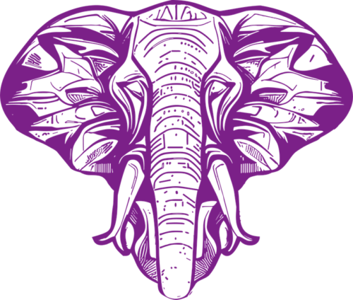 vector elefante fondo blanco pequeño 2